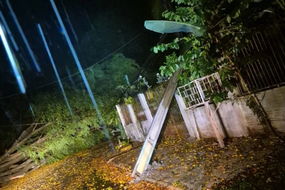 Temporal provocou queda de árvores e danos à rede elétrica no bairro Itaipu C, em Foz do Iguaçu. Foto: Defesa Civil