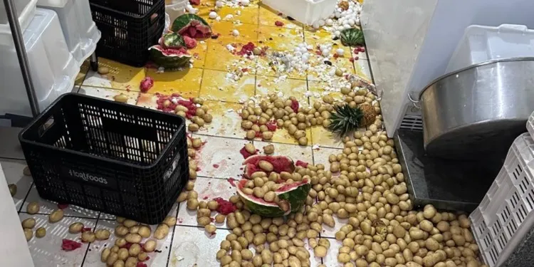 Imagens do sistema de monitoramento auxiliaram a Guarda Municipal na identificação dos envolvidos na invasão da Escola Padre Luigi. Foto: divulgação