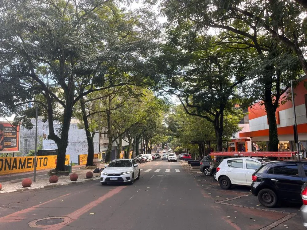 Serviços terão duração aproximada de 20 dias.