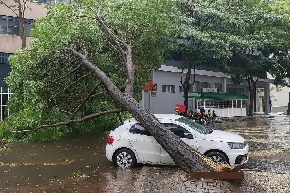 Defesa Civil alerta para emergência climática com previsão de temporais e granizo
