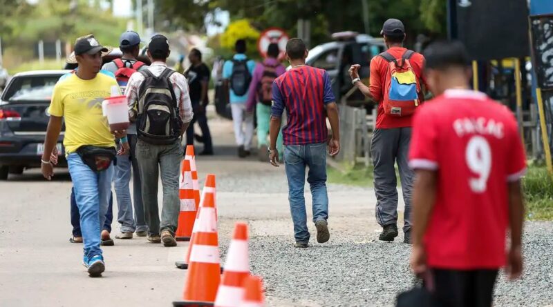 Dados são divulgados no Dia Internacional dos Migrantes